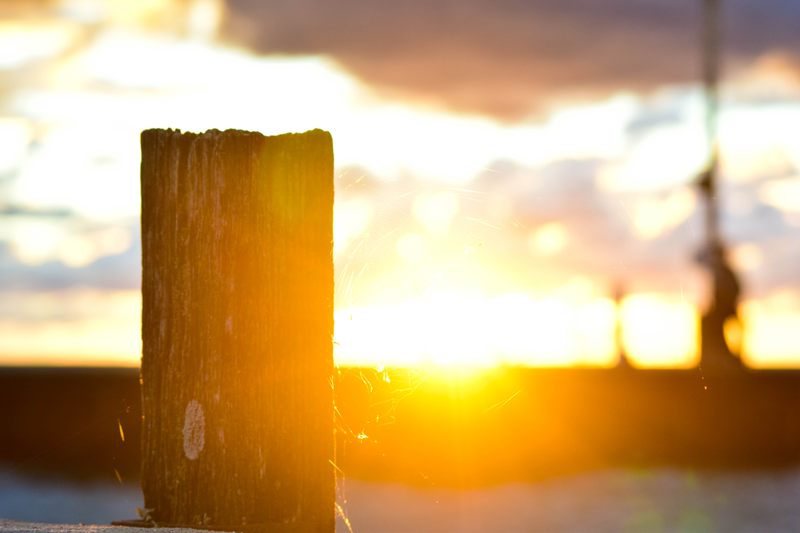 Sun Web